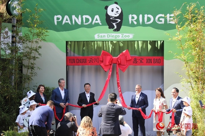 1、中國駐美國大使謝鋒、加州州長紐森、圣迭戈市市長格洛利亞等人共同為“熊貓嶺”開館剪彩。 人民網(wǎng)記者 李志偉攝