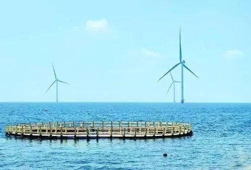 △山東萊州風(fēng)電項(xiàng)目實(shí)現(xiàn)了海上風(fēng)電和海洋牧場(chǎng)融合發(fā)展。