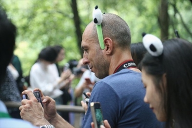 俄羅斯《俄羅斯報》視覺內(nèi)容編輯阿爾圖爾·杰魯諾夫在拍攝熊貓。（李佩藺 攝）