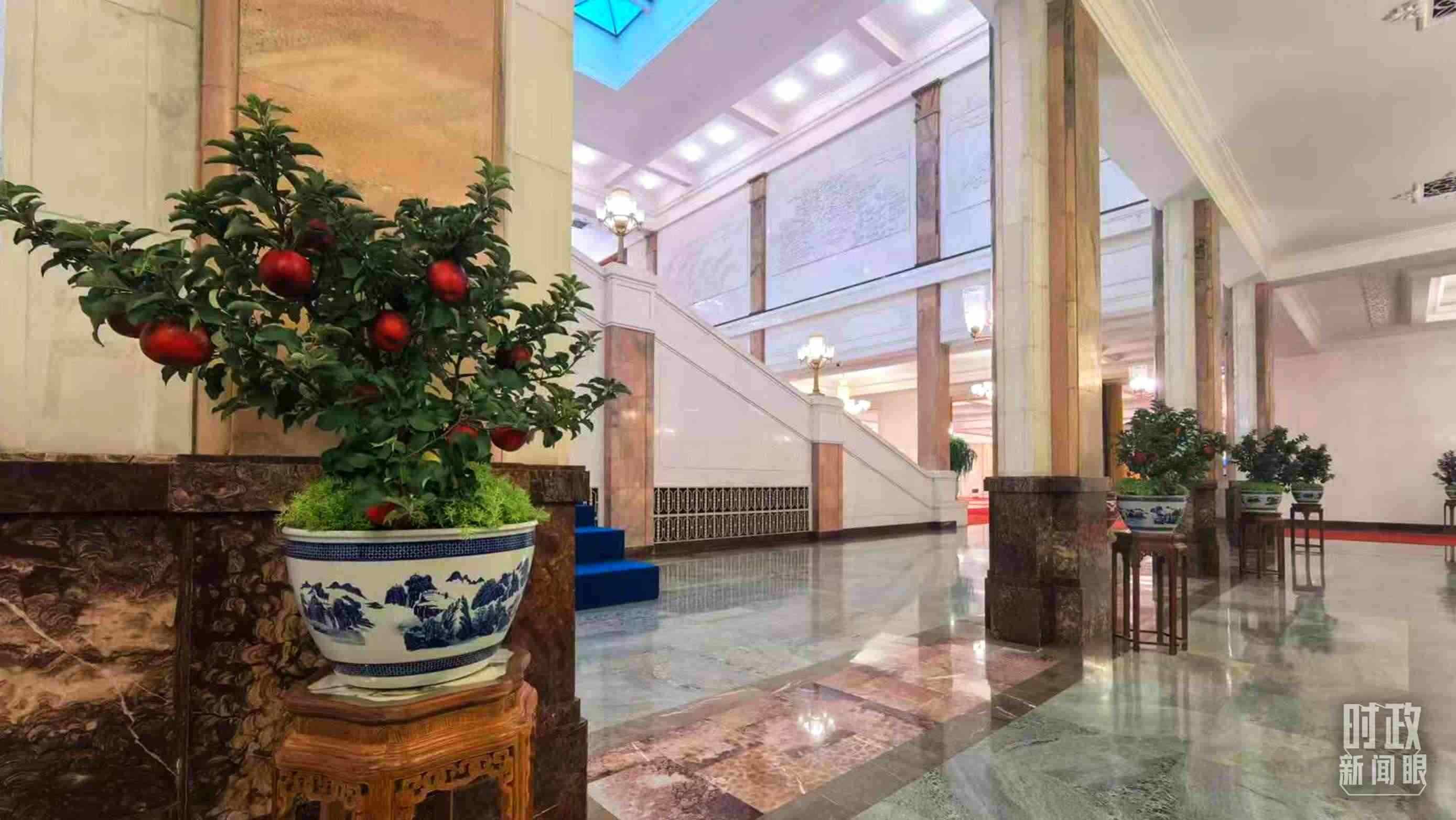  △大會堂內(nèi)的“碩果累累”盆栽。（總臺國廣記者吳倩拍攝）