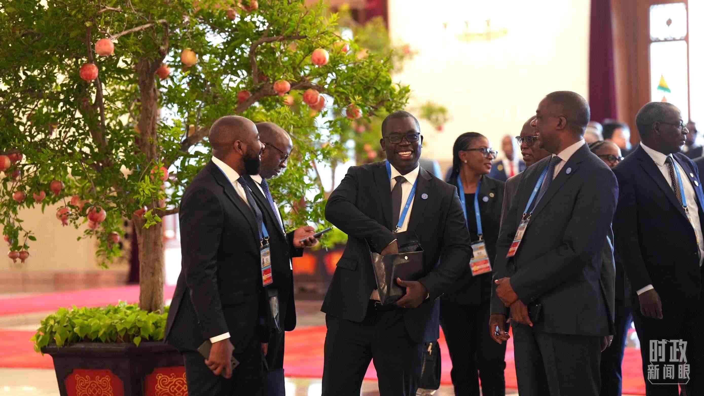 出席中非合作論壇北京峰會(huì)的非洲國(guó)家代表。（總臺(tái)記者李晉拍攝）