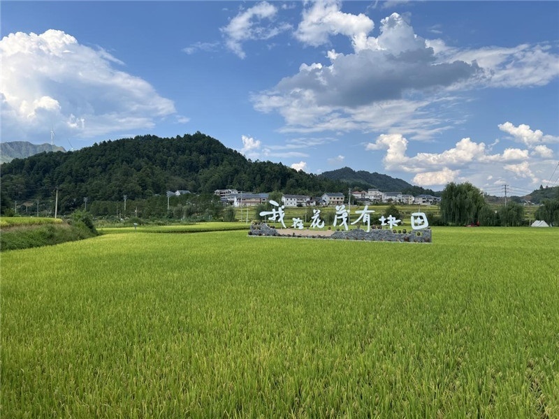 青瓦白磚的黔北民居、風(fēng)中搖曳的稻田、抬手可觸的大片云朵……才剛下車，格魯吉亞“經(jīng)濟(jì)中心網(wǎng)”總編輯莉安娜·喬爾喬利亞尼就被眼前的景色拖住了步履，喃喃細(xì)語：“實在太美了，讓我內(nèi)心平靜，在這里生活一定非常安逸和幸福?！保ㄇ褫x攝）