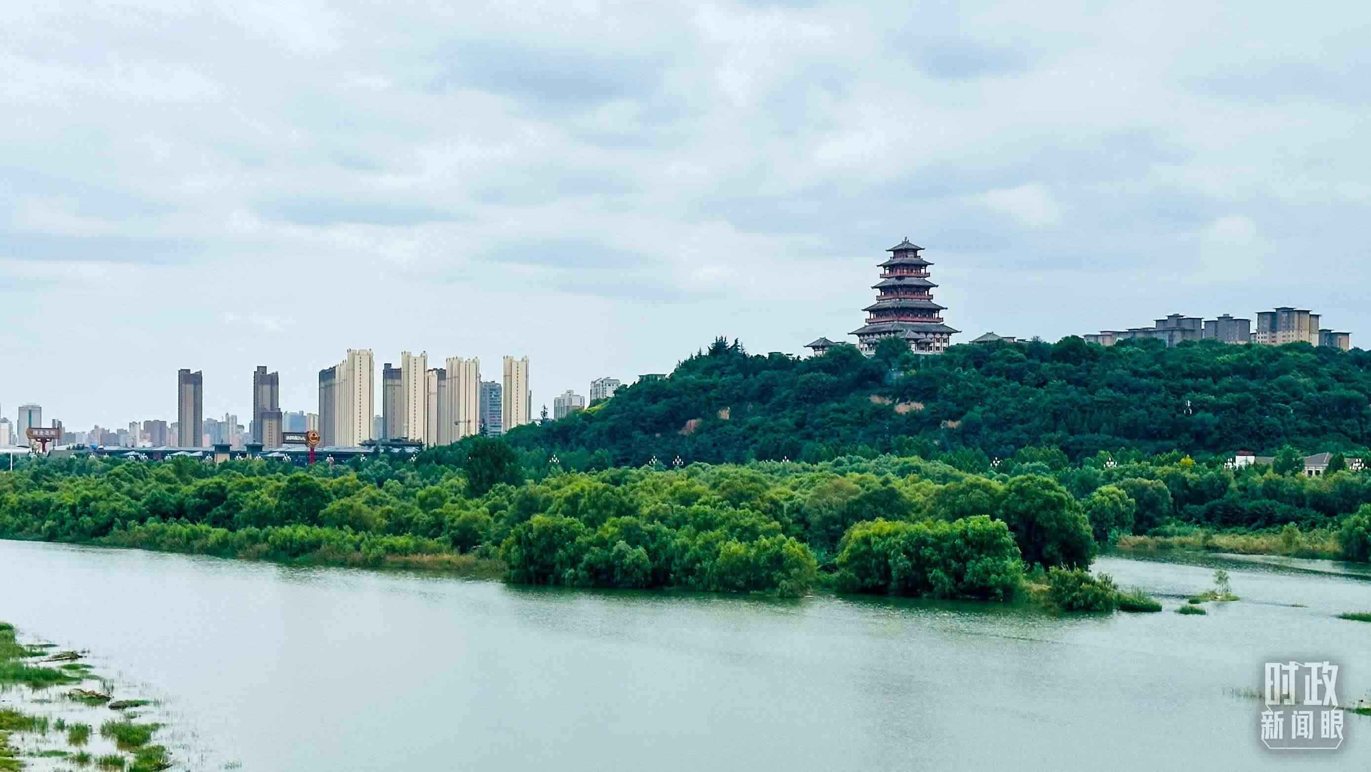 △黃河的第一大支流——渭河。（總臺央視記者范一鳴拍攝）