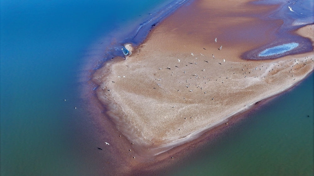 2024年3月1日拍攝的黃河寧夏段（無人機(jī)照片）。