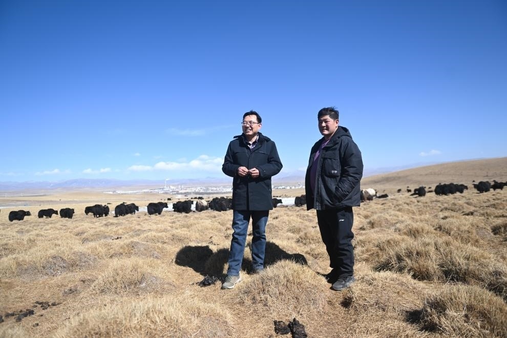 2023年2月24日，在青海省海北藏族自治州海晏縣青海湖鄉(xiāng)達(dá)玉日秀村，全國人大代表董全民（左）查看牧民東知布家的草場。新華社記者 張龍 攝