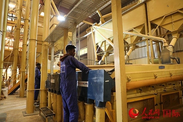 在Bule Hora咖啡加工廠里工作的當(dāng)?shù)毓と藗?。人民網(wǎng)記者 沈小曉攝