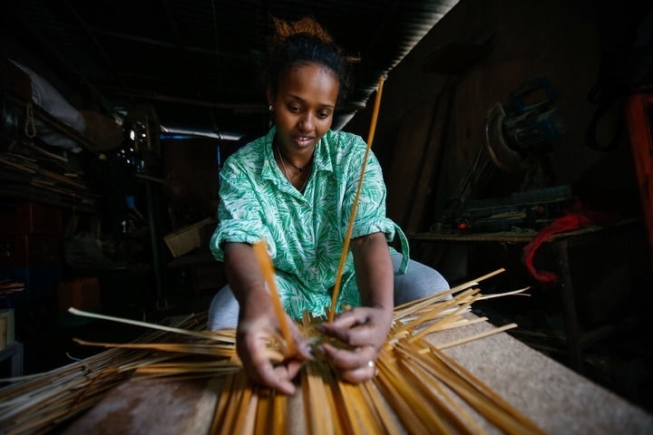 2024年8月10日，菲基爾特·加布雷在埃塞俄比亞首都亞的斯亞貝巴名為“綠色金子”的竹藤工作室里加工竹制產(chǎn)品。新華社發(fā)（邁克爾·特韋爾德 攝）