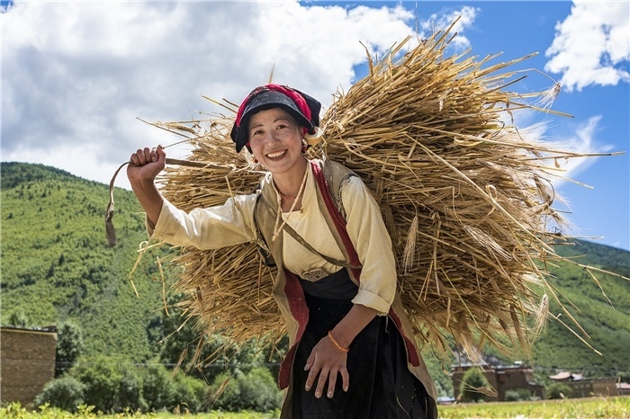 康定市甲根壩鎮(zhèn)青稞豐收，農(nóng)牧民臉上洋溢著豐收的喜悅。林革文攝