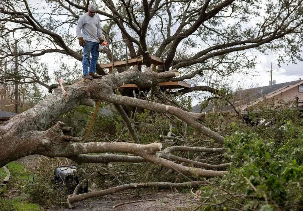 2021年8月30日，在美國路易斯安那州霍馬，一名男子站在被颶風(fēng)吹倒的大樹上。新華社發(fā)（尼克·瓦格納 攝）
