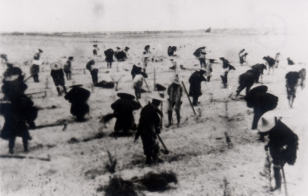 上世紀東山百姓在沙灘造林（資料照片）。