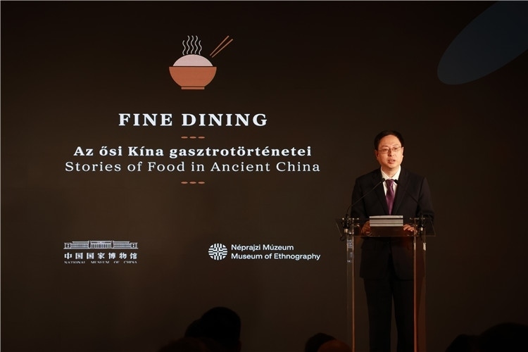中國國家博物館副館長楊帆致辭。圖片由中國駐匈牙利大使館提供。
