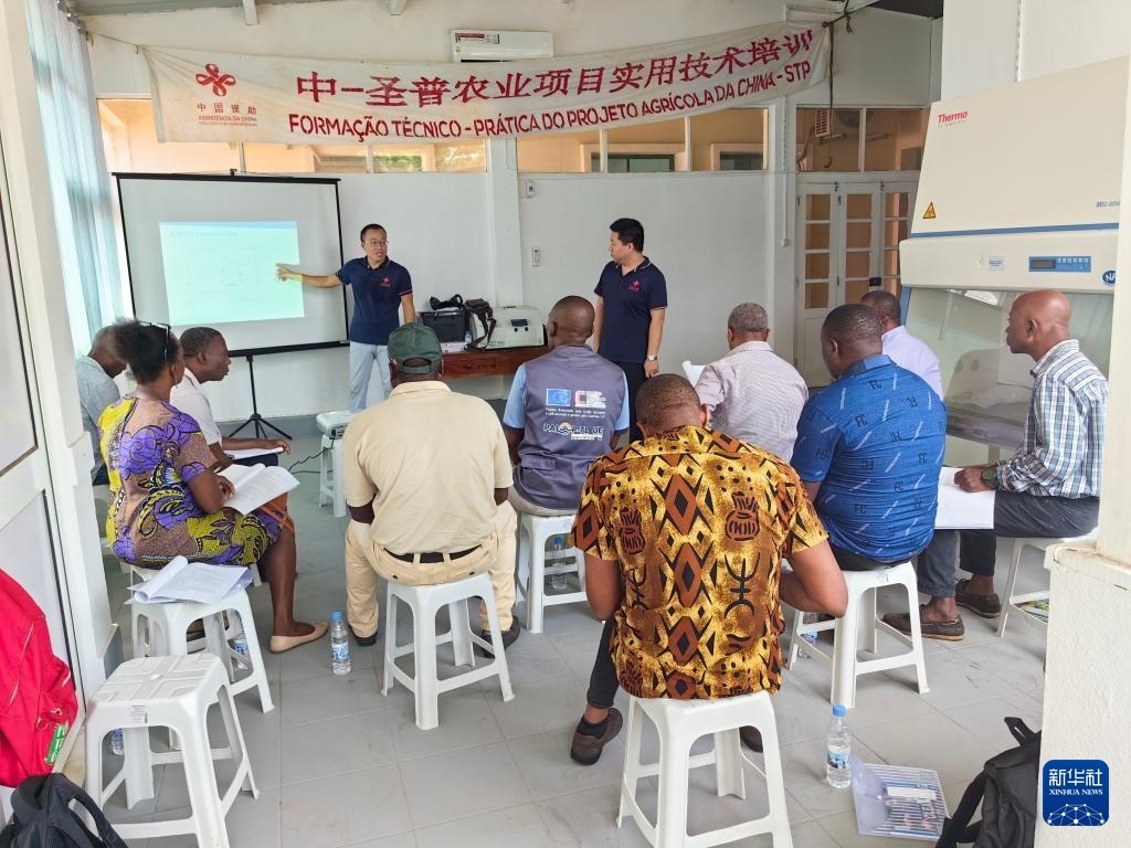 中國援圣普農(nóng)牧業(yè)技術(shù)項目組專家段振華（后左）在圣多美和普林西比的國家獸醫(yī)實驗室開展動物疫病監(jiān)測技術(shù)培訓（2024年6月21日攝）。新華社發(fā)（中國援圣普農(nóng)技組供圖）