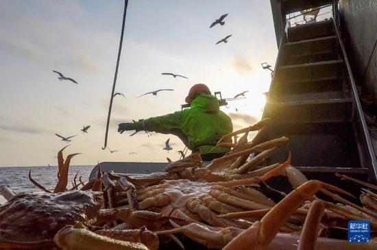 這是俄羅斯蟹業(yè)集團(tuán)工作人員進(jìn)行遠(yuǎn)洋捕撈的資料照片。新華社發(fā)（俄羅斯蟹業(yè)集團(tuán)供圖）