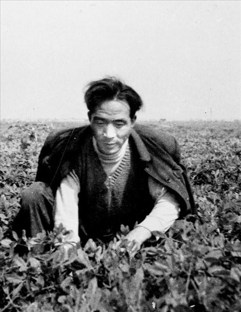 在蘭考期間，焦裕祿在田間勞動的情景。