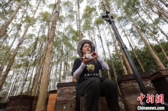 吳素英在網(wǎng)絡(luò)平臺直播介紹蜜蜂和養(yǎng)蜂情況。湯曉逵 攝