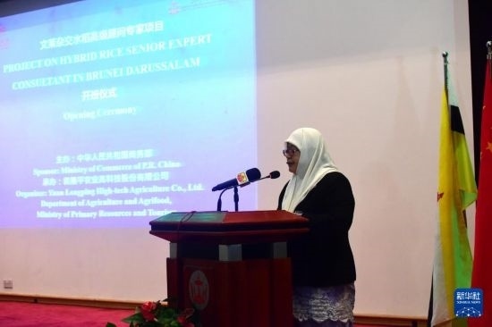 10月26日，文萊初級資源與旅游部常任秘書圖蒂亞蒂在斯里巴加灣市出席中國與文萊雜交水稻高級專家顧問項(xiàng)目啟動儀式。新華社記者 李萌 攝