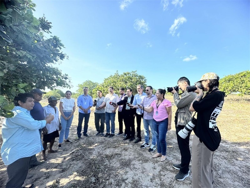 聯(lián)合采訪團(tuán)正在采訪中國企業(yè)在若昂卡馬拉市的扶貧開放項(xiàng)目 。孫佳攝