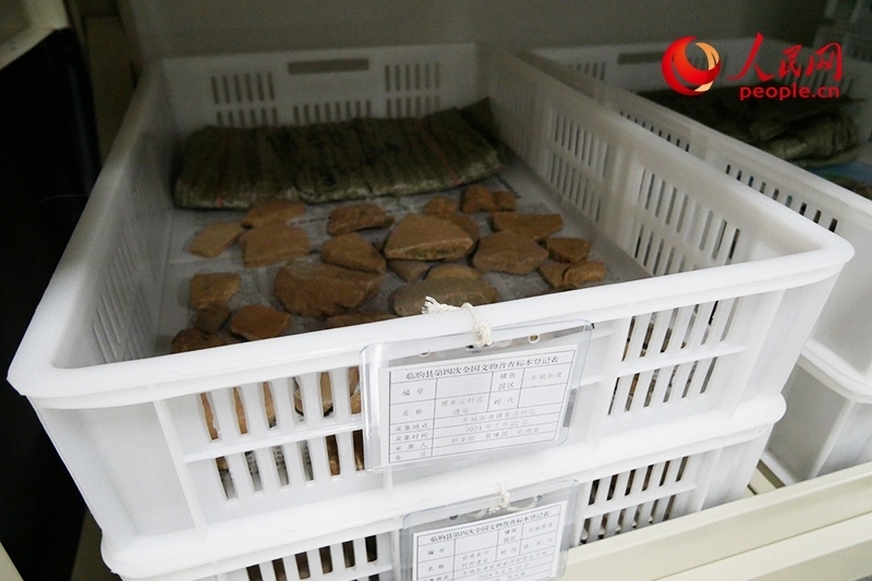 已經(jīng)整理完畢的文物標本。人民網(wǎng)記者 韋衍行攝
