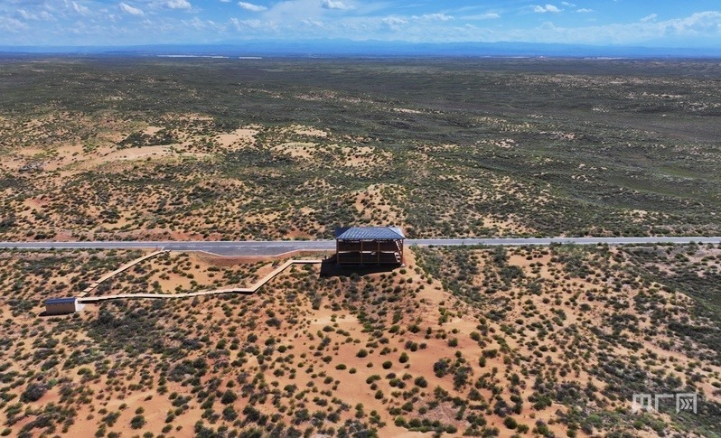 古浪縣一代代人治沙不息，讓綠色向沙漠深處不斷延伸（央廣網(wǎng)記者 李紅軍 攝）