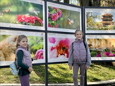 活動現(xiàn)場。中國駐保加利亞大使館供圖。