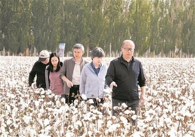 李召虎團隊成員在棉田了解試驗情況。 受訪單位供圖