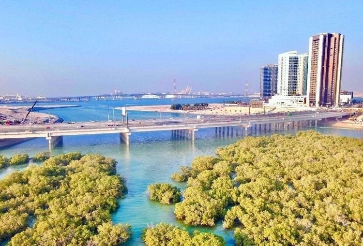 圖為瑞姆橋施工現(xiàn)場(chǎng)。中國土木供圖