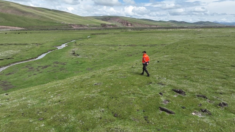 9月24日，生態(tài)管護(hù)員那瓦才郎在草場(chǎng)上巡護(hù)。（受訪者供圖）