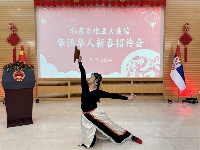 招待會現(xiàn)場表演。諾維薩德孔子學院供圖