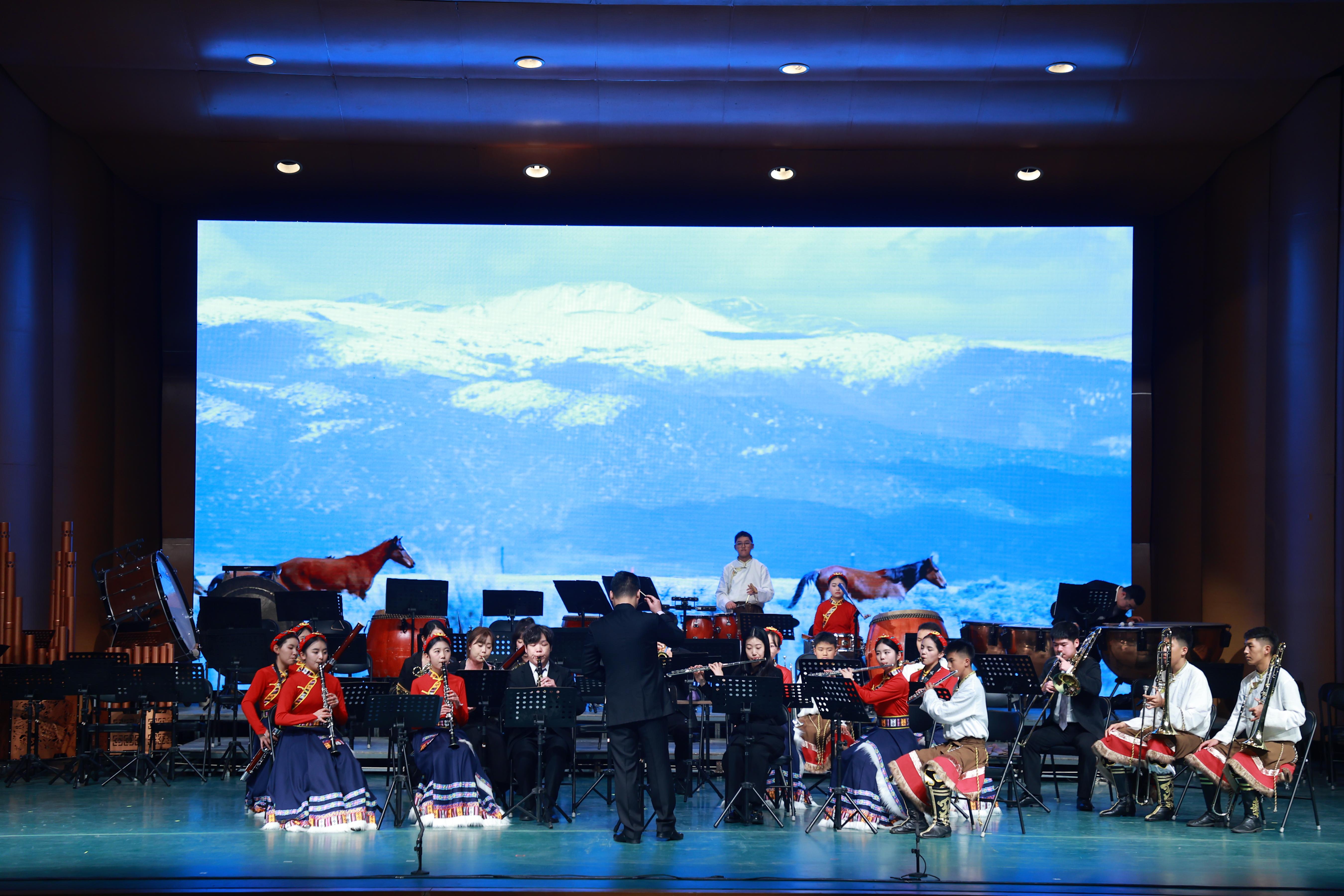 音樂會(huì)展演現(xiàn)場。(主辦方供圖)