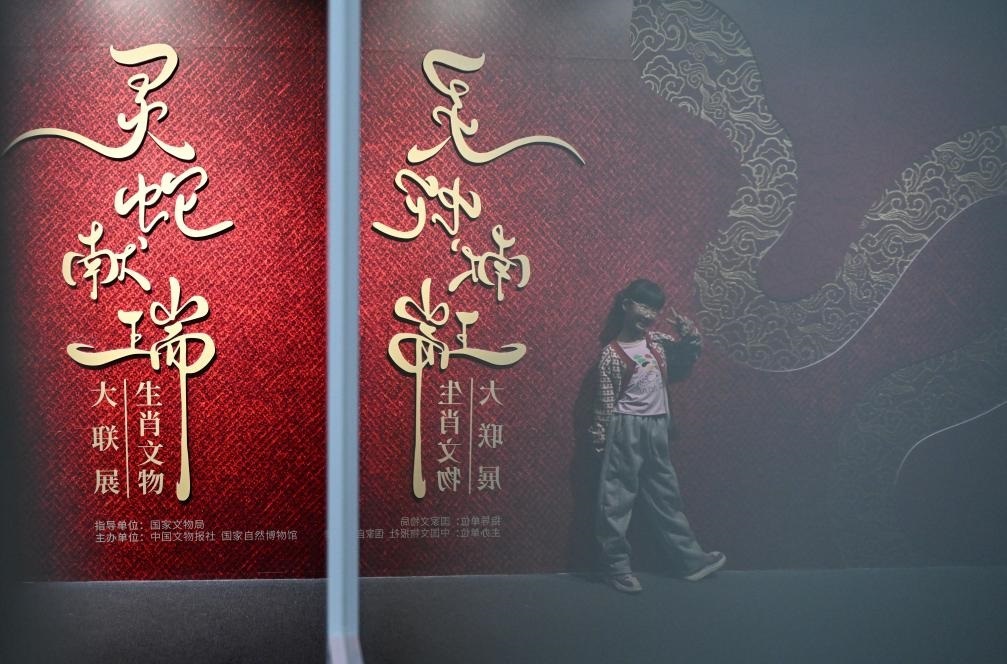 1月18日，一名小朋友在國(guó)家自然博物館舉辦的“靈蛇獻(xiàn)瑞——2025乙巳蛇年生肖文物大聯(lián)展”展覽中拍照留念。（新華社記者 陳鐘昊 攝）
