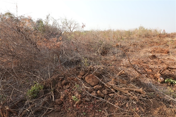 施工現(xiàn)場。張曉昆攝