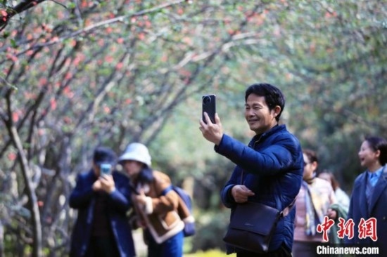成都：海棠花開(kāi)引游人