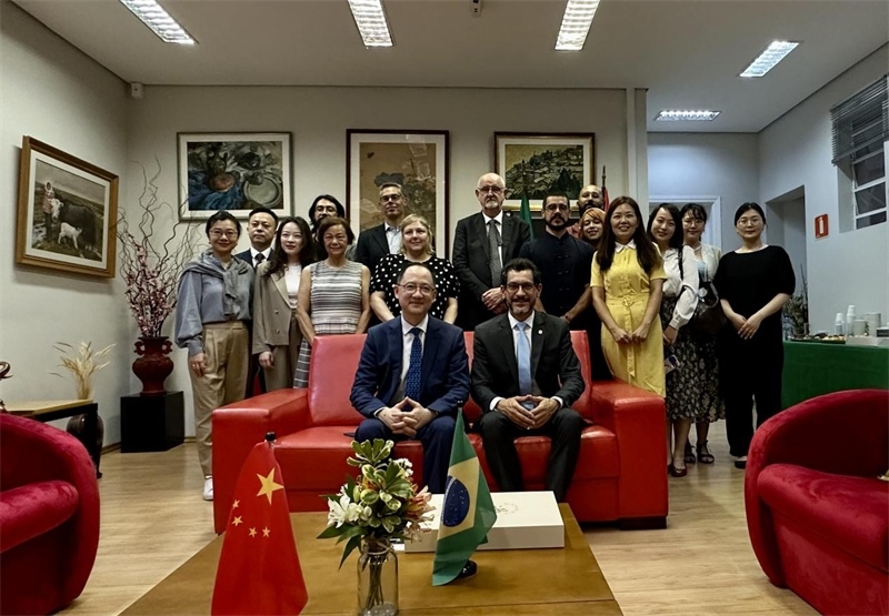 圖為參加座談會(huì)的來賓合影留念。 圣保羅州立大學(xué)孔子學(xué)院供圖