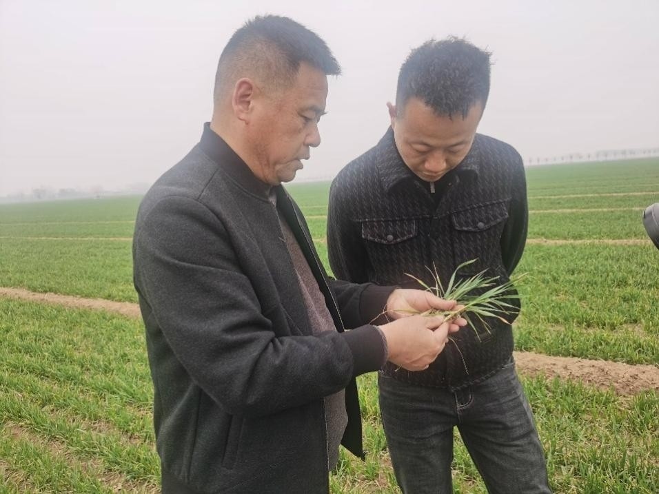 在山東濟(jì)寧汶上縣苑莊鎮(zhèn)，農(nóng)技員黃海龍對(duì)種糧大戶王振現(xiàn)場進(jìn)行春耕指導(dǎo)。人民網(wǎng)記者 車柯蒙攝