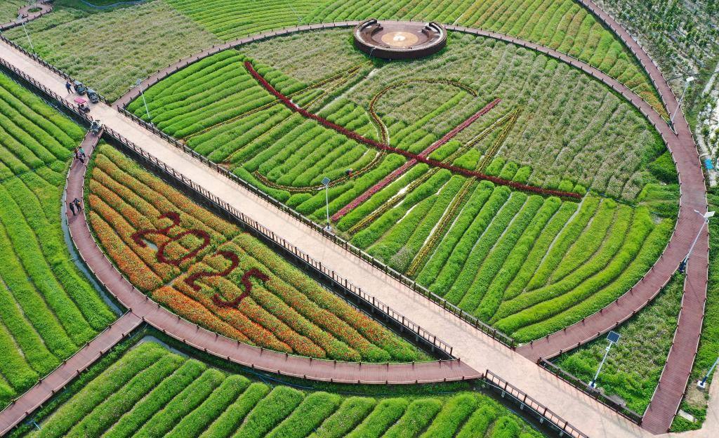 這是3月21日拍攝的瓊海博鰲南強村景色（無人機照片）。新華社記者 郭程 攝