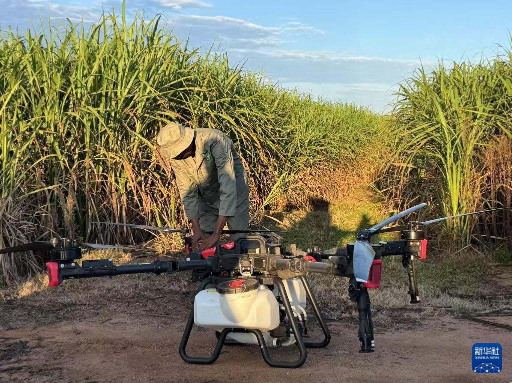 3月25日，在南非夸祖魯-納塔爾省的方廷希爾莊園，工作人員為無(wú)人機(jī)做起飛作業(yè)前的準(zhǔn)備。新華社記者 白舸 攝