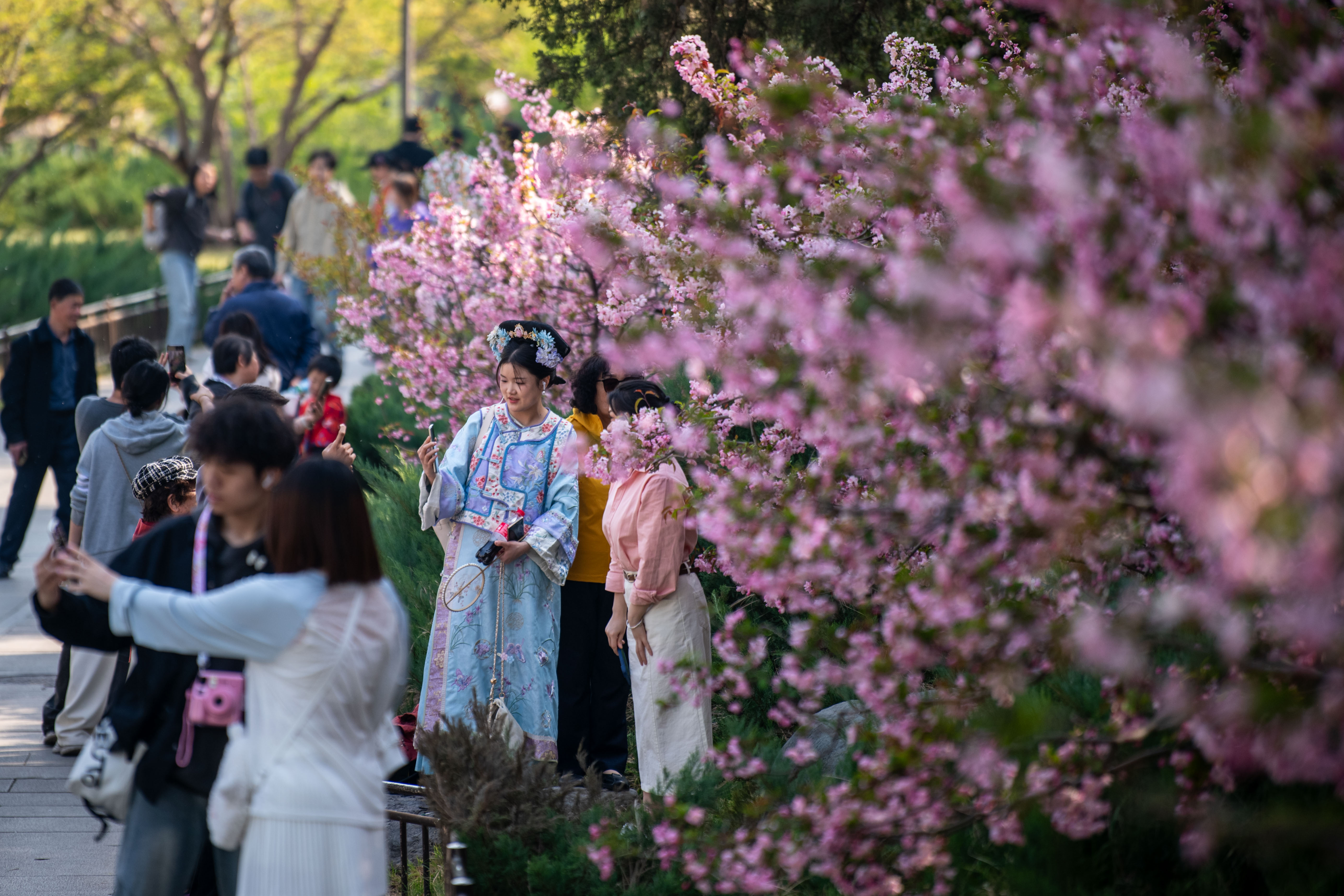 2025年4月6日，北京北海公園，滿園春色醉游人。人民網(wǎng)記者 翁奇羽攝