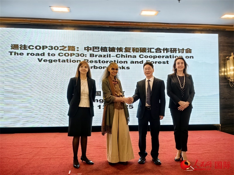 中國國家林業(yè)和草原局副局長李云卿（右二）、巴西環(huán)境和氣候變化部部長瑪麗娜·席爾瓦（左二）、巴西財政部副部長羅熙丹（右一）、巴西駐華大使館公參樂美（左一）出席“通往COP30之路：中巴植樹造林和碳匯合作研討活動”。人民網(wǎng)記者 符園園攝