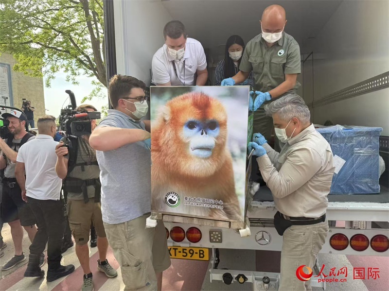 圖為活動現(xiàn)場。人民網(wǎng)記者 牛瑞飛攝