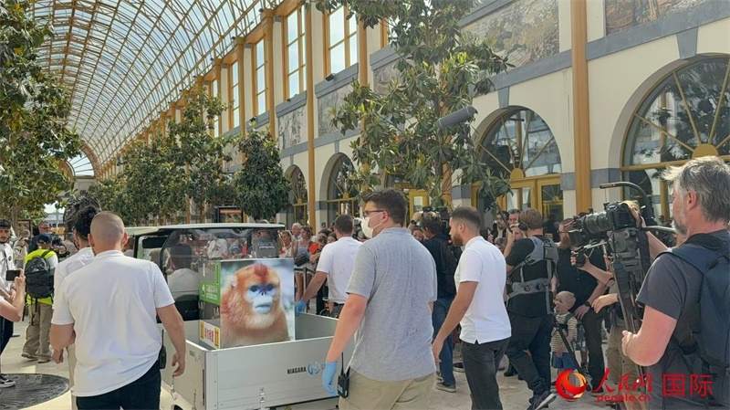 圖為活動現(xiàn)場。人民網(wǎng)記者 牛瑞飛攝