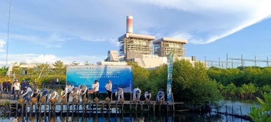 5月18日，中印尼嘉賓在爪哇7號燃煤電站舉行紅樹林補(bǔ)植儀式。記者 曹凱 攝