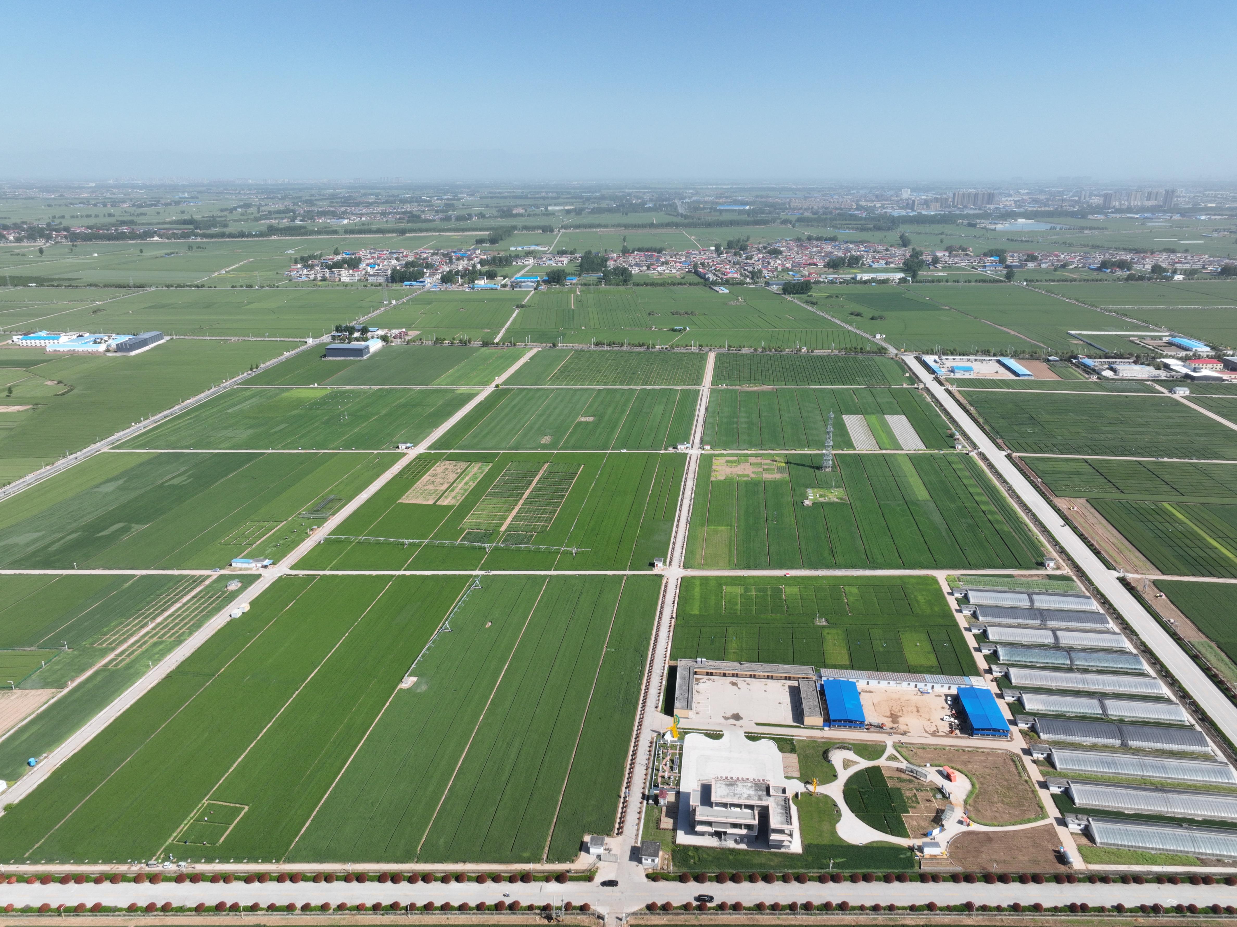 俯瞰水利部灌溉試驗總站試驗研究基地。受訪者供圖