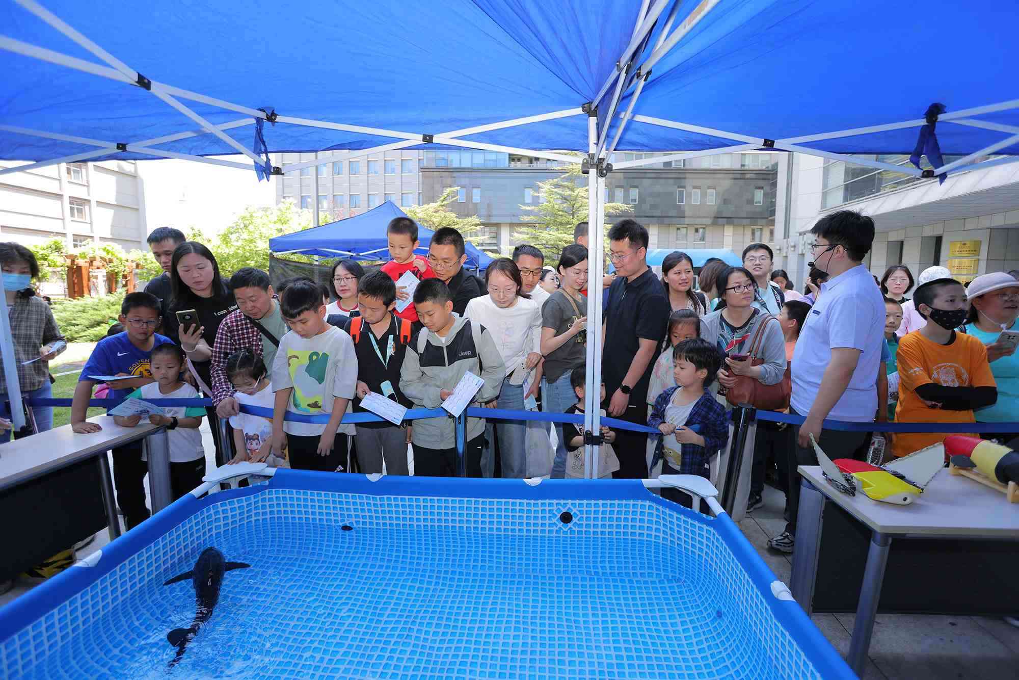 水下仿生機器魚在活動現(xiàn)場大受歡迎。中國科學(xué)院自動化研究所供圖